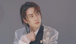 吃瓜鹅娱乐速报肖战,吃瓜鹅娱乐速报，揭秘明星背后的故事